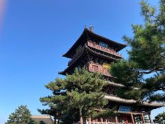 -老柴削面(向阳里店)