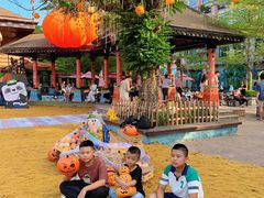 -灵玲国际马戏城
