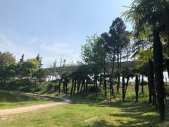 -美兰湖景区