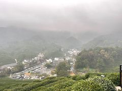 -龙井村