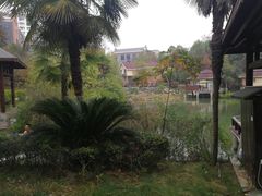 -咸宁万豪温泉谷度假区