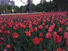 -长春公园(普阳街道)