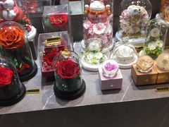 -谷莠子花艺·气球派对·绿植造景·花艺沙龙(金光华广场店)