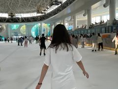 -世界之窗阿尔卑斯冰雪世界