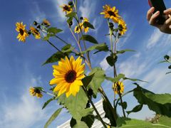 -武汉理工大学（南湖新校区）-图书馆