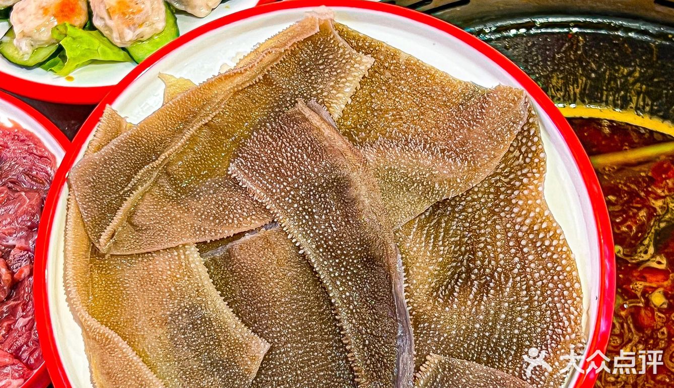 深圳火锅｜因为猪油拌饭爱上这家地摊火锅‼️