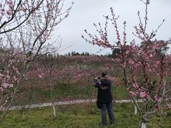 -常德桃花源景区