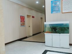 -邢台妇产医院