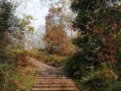 -南山风景名胜区