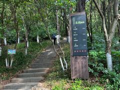 -杭州半山国家森林公园