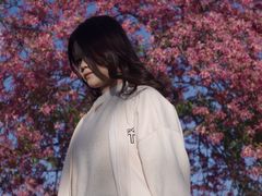 -风云岭森林公园