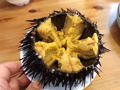 -海胆小馆(东北水饺·春柳店)