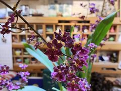 -今日陶艺(富力广场店)