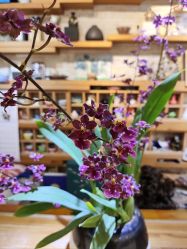 -今日陶艺(富力广场店)