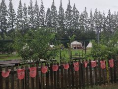 -前小桔亲子创意农场·草莓采摘·露营烧烤
