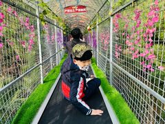 -西霞口神雕山野生动物世界