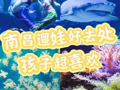 -南昌海洋公园