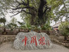 -大槐树寻根祭祖园