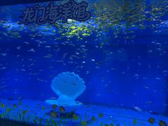 -洛阳龙门海洋馆