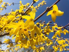 -龙口南山旅游景区