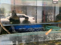水产区-白洋淀灶台鱼(名佳花园店)
