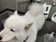 -宠物家(大兴旧宫店)
