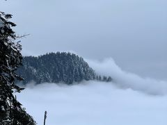 -瓦屋山景区