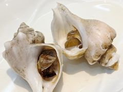 白灼香螺-醉壹号海鲜大排档(厦门店)