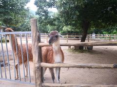 -西安秦岭野生动物园
