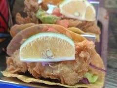 鸡肉塔克-Famous肥猫墨西哥音乐餐吧(五棵松华熙LIVE店)