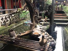 -优之名鹅城