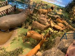 -陕西自然博物馆