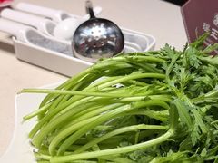 -蝎王府羊蝎子(北大地店)
