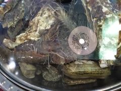 -蓝珊甄选海鲜自助·火锅大排档(近阿那亚店)