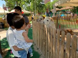 -萌宠亲子动物乐园(槐房万达店)