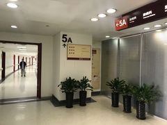 -上海中医药大学附属曙光医院(东部)