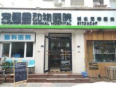-宠福鑫动物医院(城北分院)