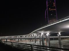 -演武大桥观景平台