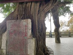 -神光山国家森林公园