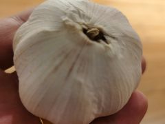 -钓鱼岛洗浴休闲会馆(卫星路店)