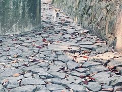 -雨花胜境