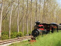 -合肥滨湖国家森林公园