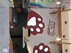 -喵园·猫主题咖啡厅·撸猫·猫咖(国贸店)