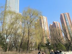 -迎泽公园