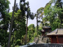 -凤栖山