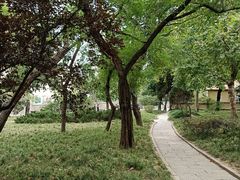 -八大关景区