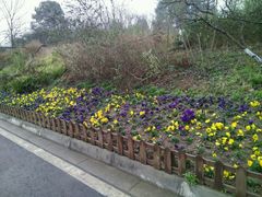 -白鹭湾湿地公园