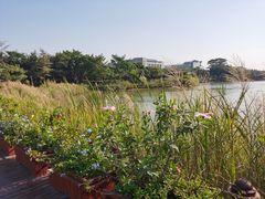 -福田红树林生态公园