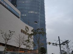 -演武大桥观景平台