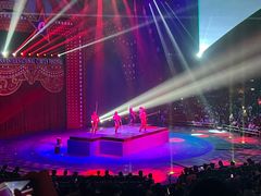 -珠海横琴长隆《卡卡虎奇遇记》